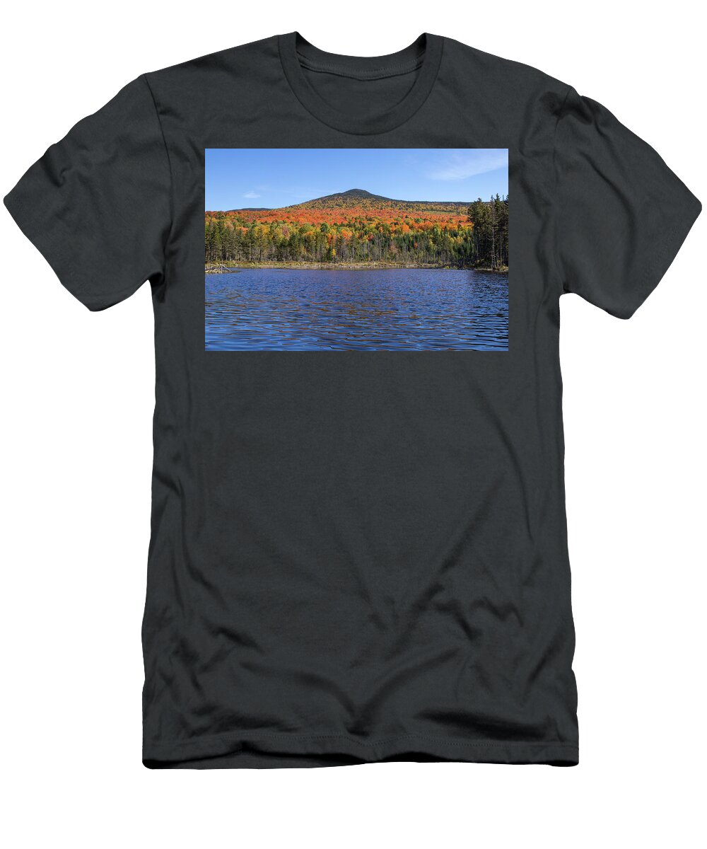 Beaver Pond Autumn Chris Whiton T-Shirt