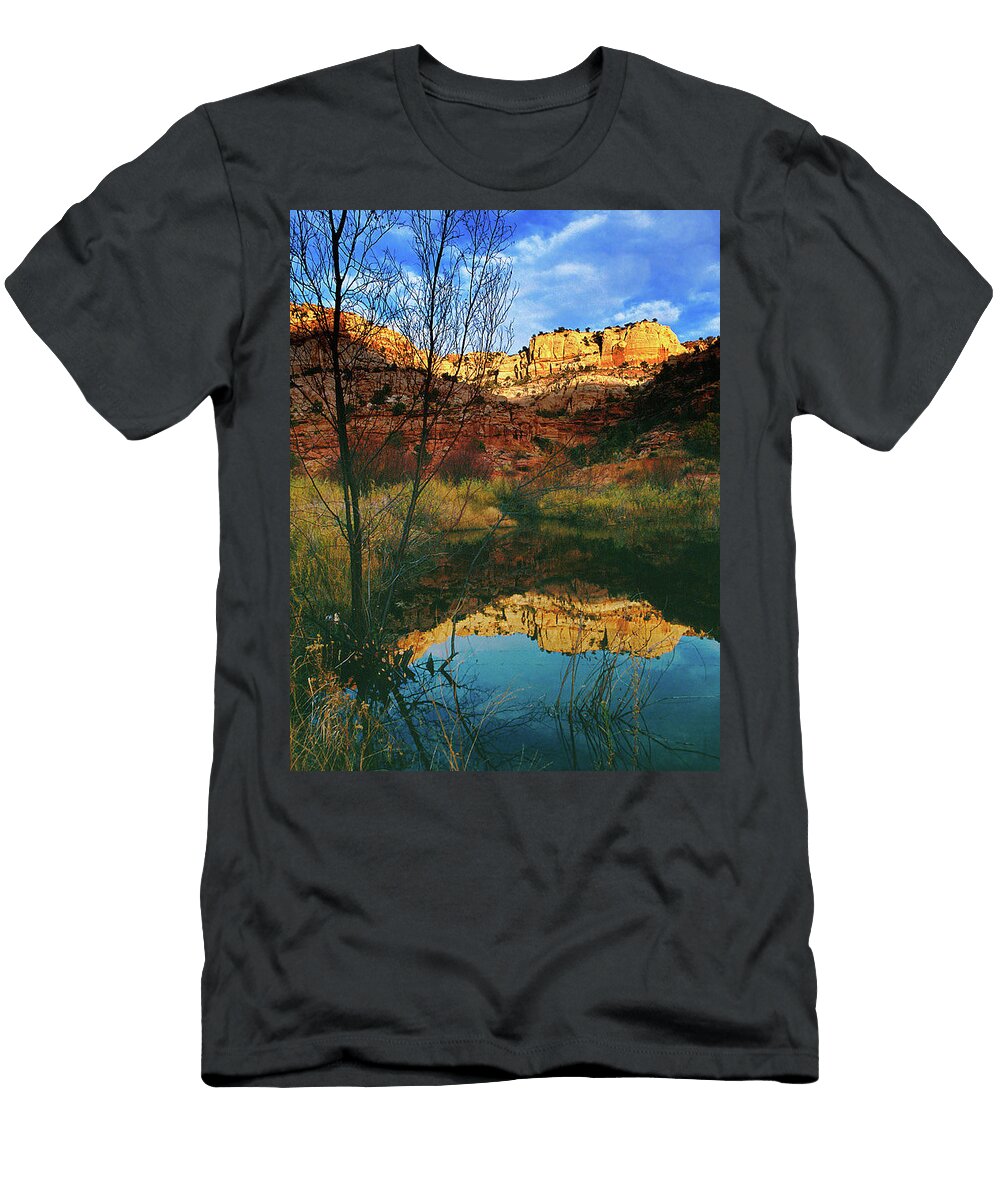 Beaver Pond Calf Creek Canyon Utah Images T-Shirt
