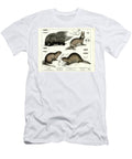 Beaver Porcupine and Hare 1858 Lithography Heinrich Leutemann T-Shirt