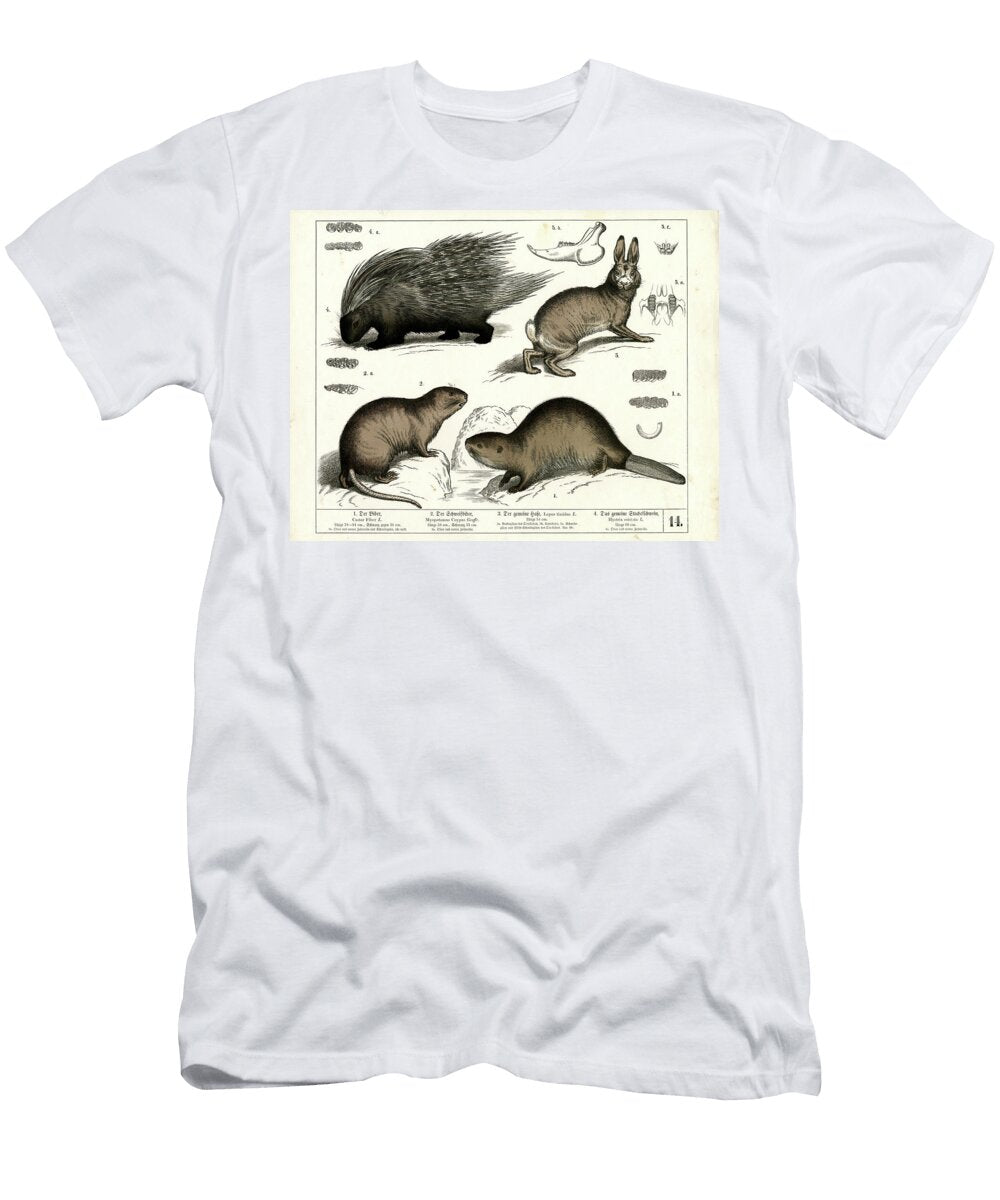 Beaver Porcupine and Hare 1858 Lithography Heinrich Leutemann T-Shirt