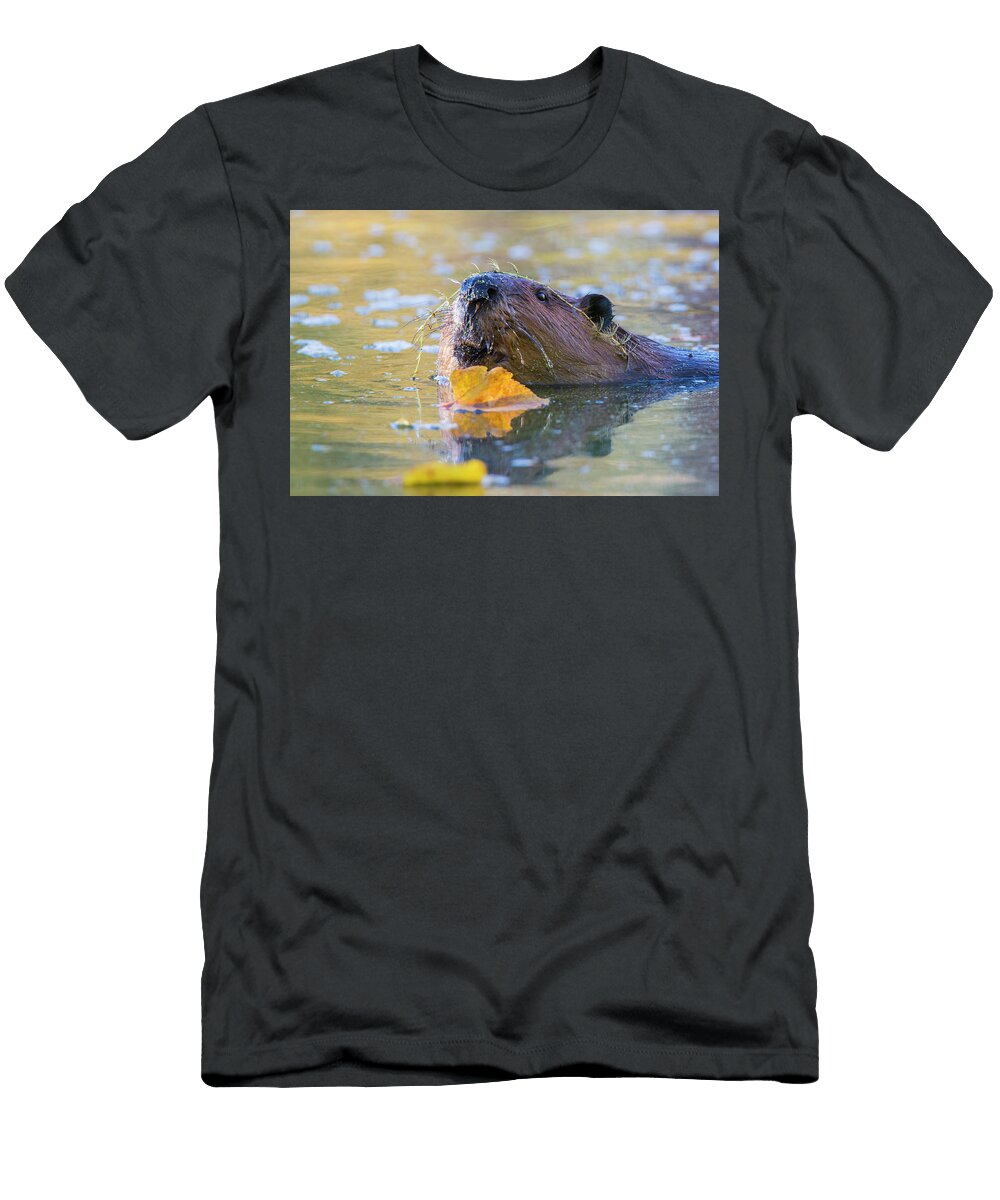 Beaver Portrait Mircea Costina Photography T-Shirt