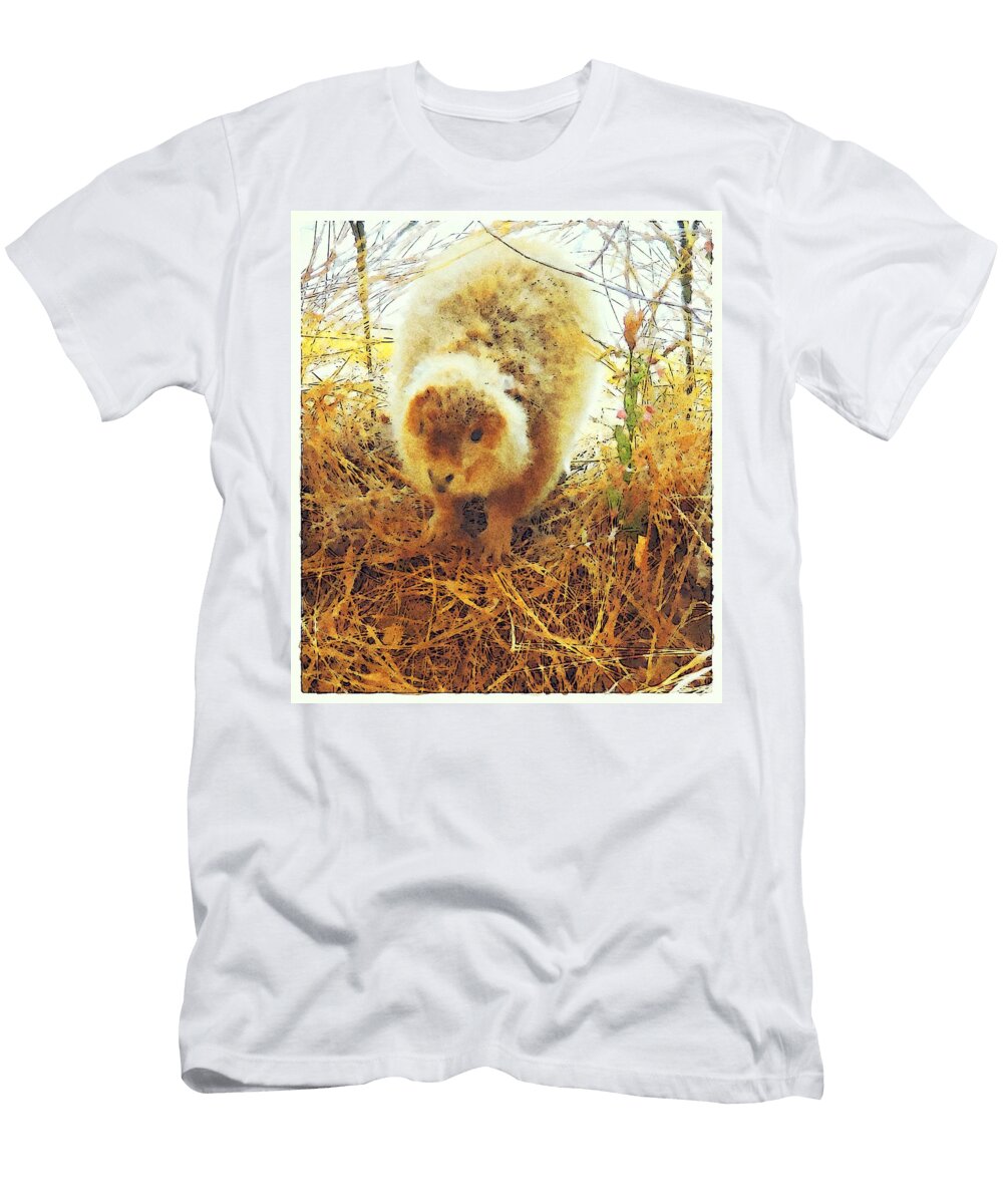 Beaver Q5 Les Classics T-Shirt