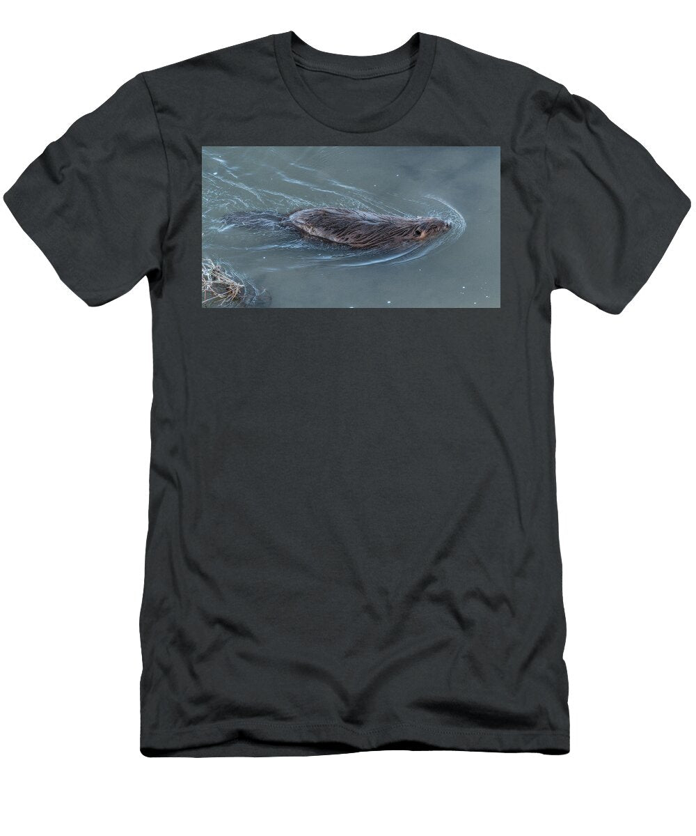 Beaver Returning Home Paul Sanderson T-Shirt