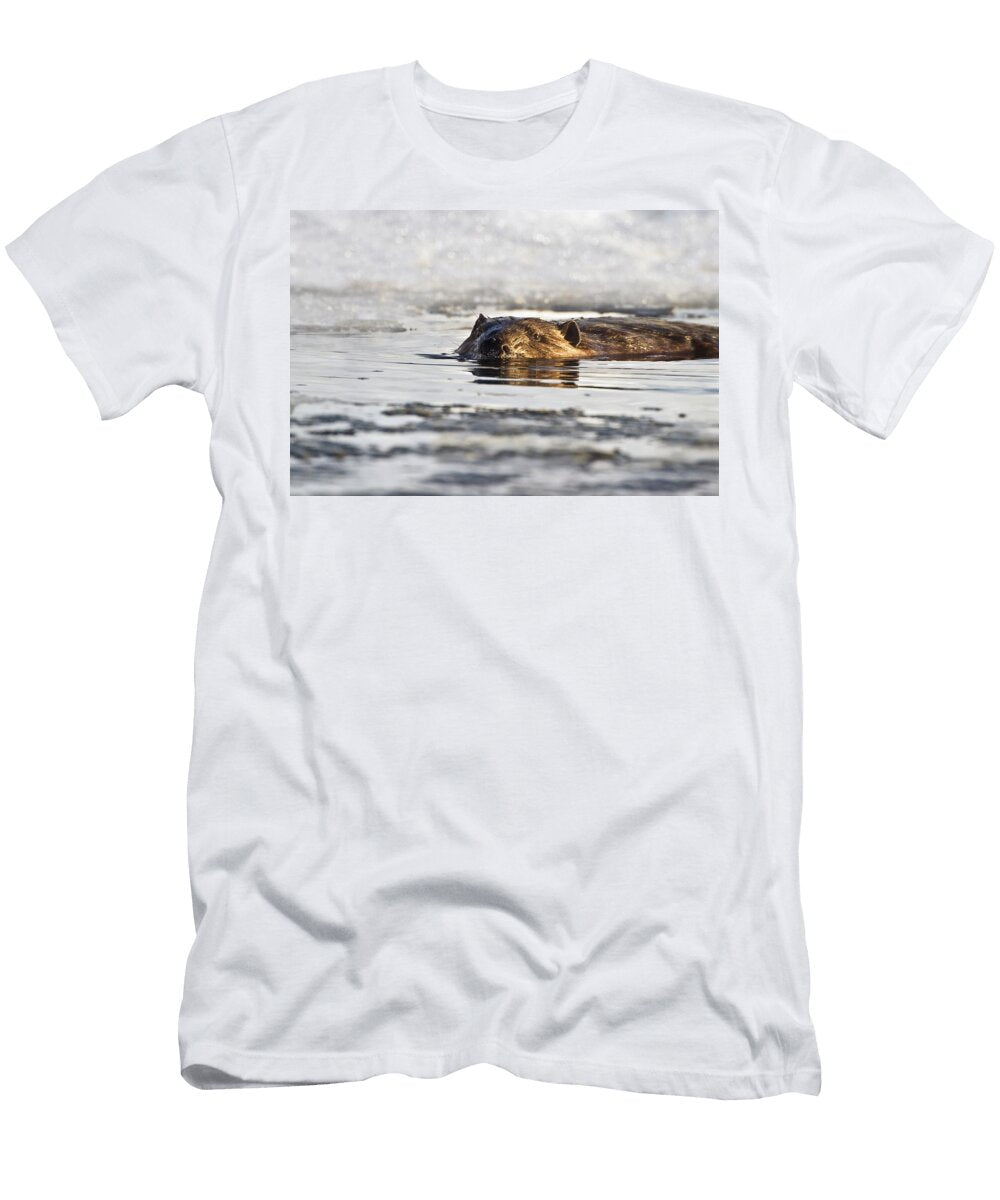 Beaver Swimming in the Water in Early Richard Wear T-Shirt