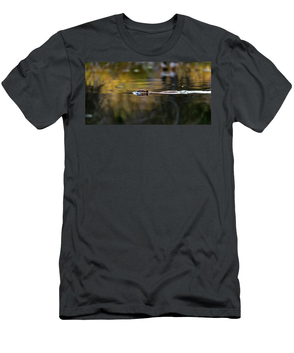 Beaver Swimming Late Evening Gary Langley T-Shirt