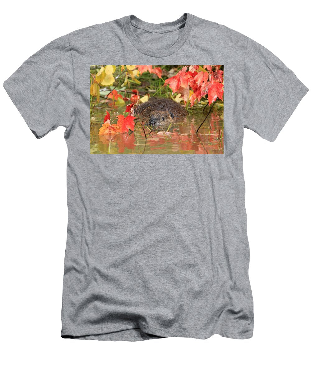 Beaver Swimming M Watson T-Shirt