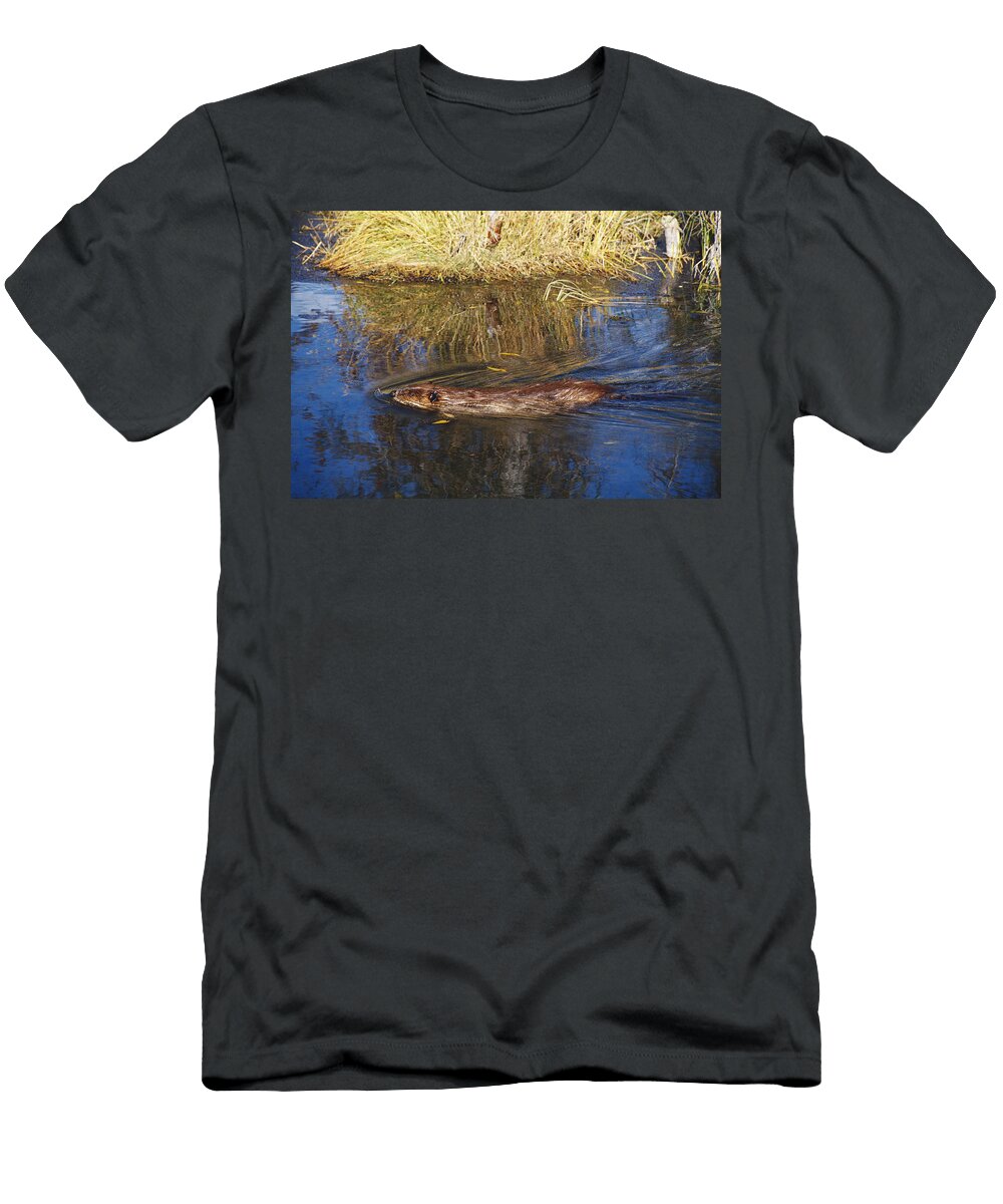 Beaver Swimming Thomas and Pat Leeson T-Shirt