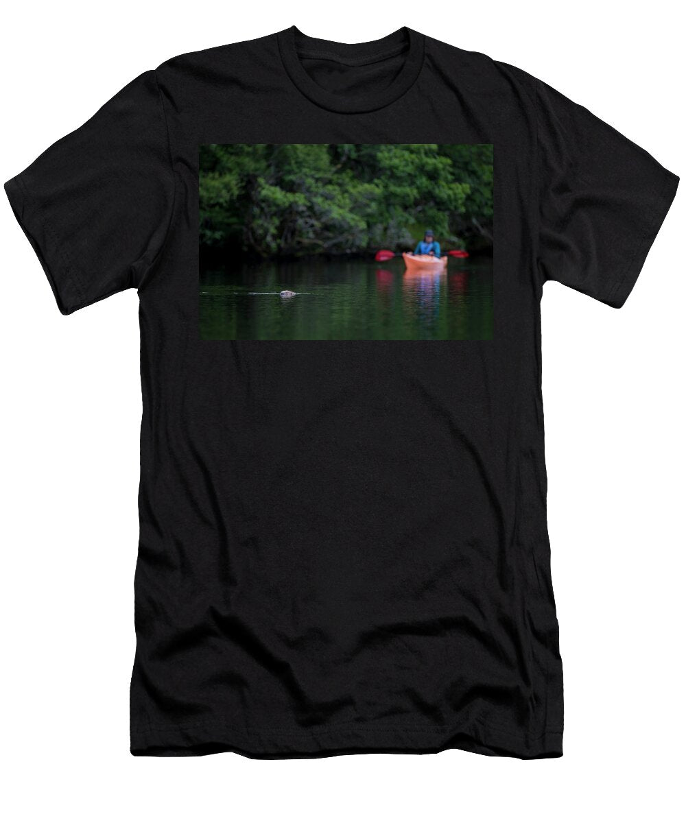 Beaver Swimming with Kayaker Watching Behind Knapdale Scotland the Big Picture Natureplcom T-Shirt