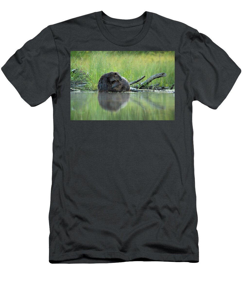 Beaver Two Adults Grooming Each Other Finland Danny Green Natureplcom T-Shirt