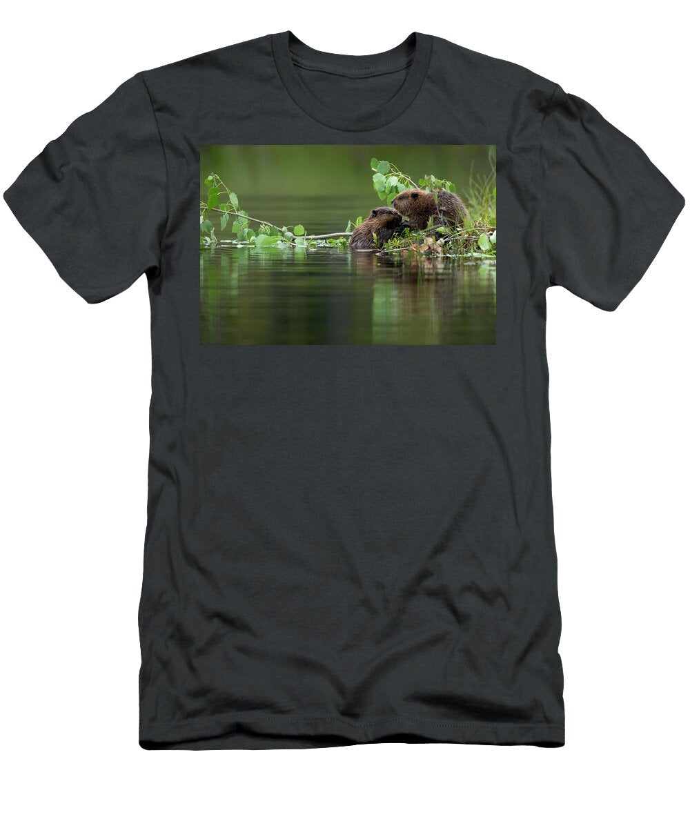 Beaver Two Young Beaver Kits Feeding on a Branch Finland Danny Green Natureplcom T-Shirt