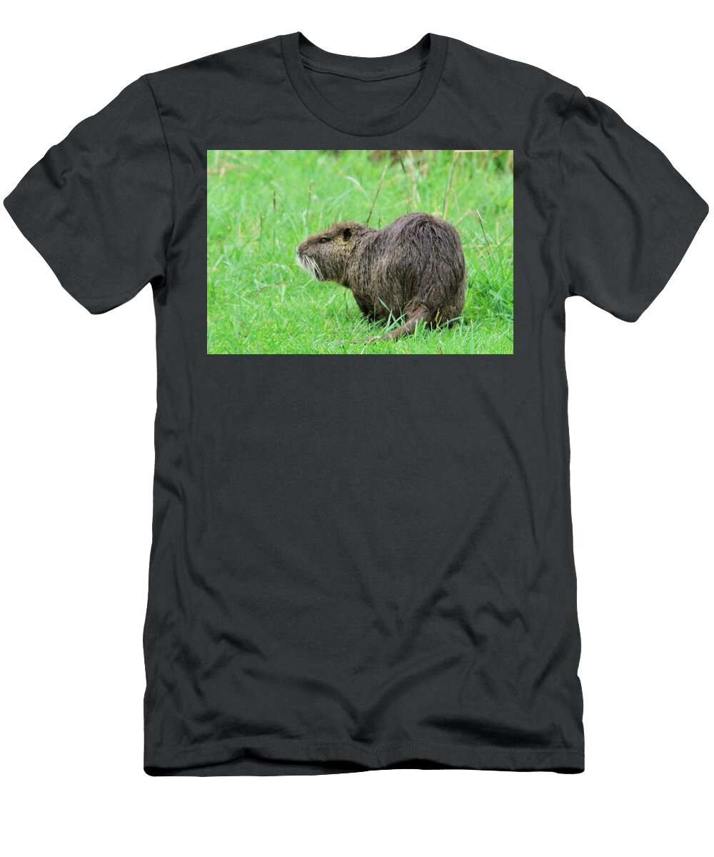 Beaver with Whiskers Jeff Swan T-Shirt