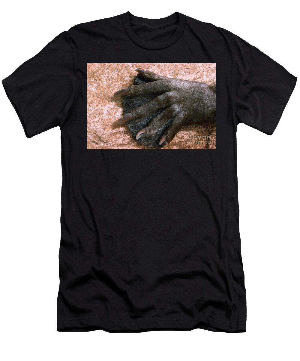Beavers Hind Foot V B Scheffer T-Shirt