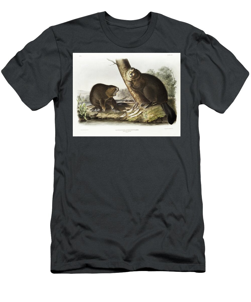 Beavers John Woodhouse Audubon Illustration Beautiful Nature Prints T-Shirt