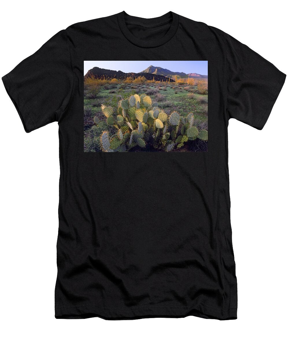 Beavertail Cactus with Picacho Mountain Tim Fitzharris T-Shirt