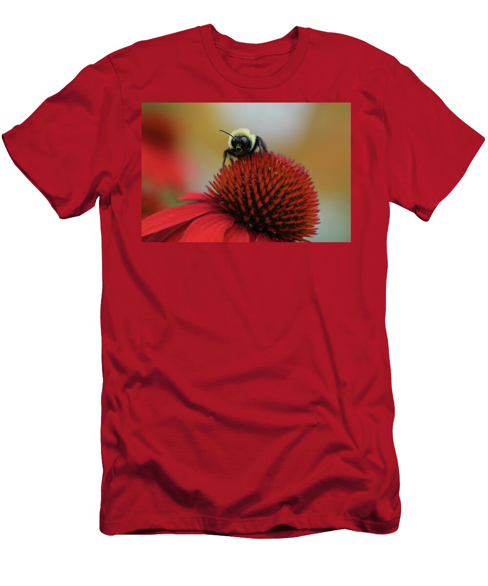 Bee At Work Stamp City T-Shirt