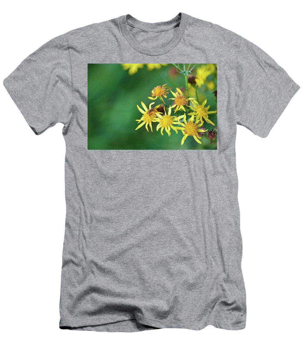 Bee on Yellow Flowers Johan Ferret T-Shirt