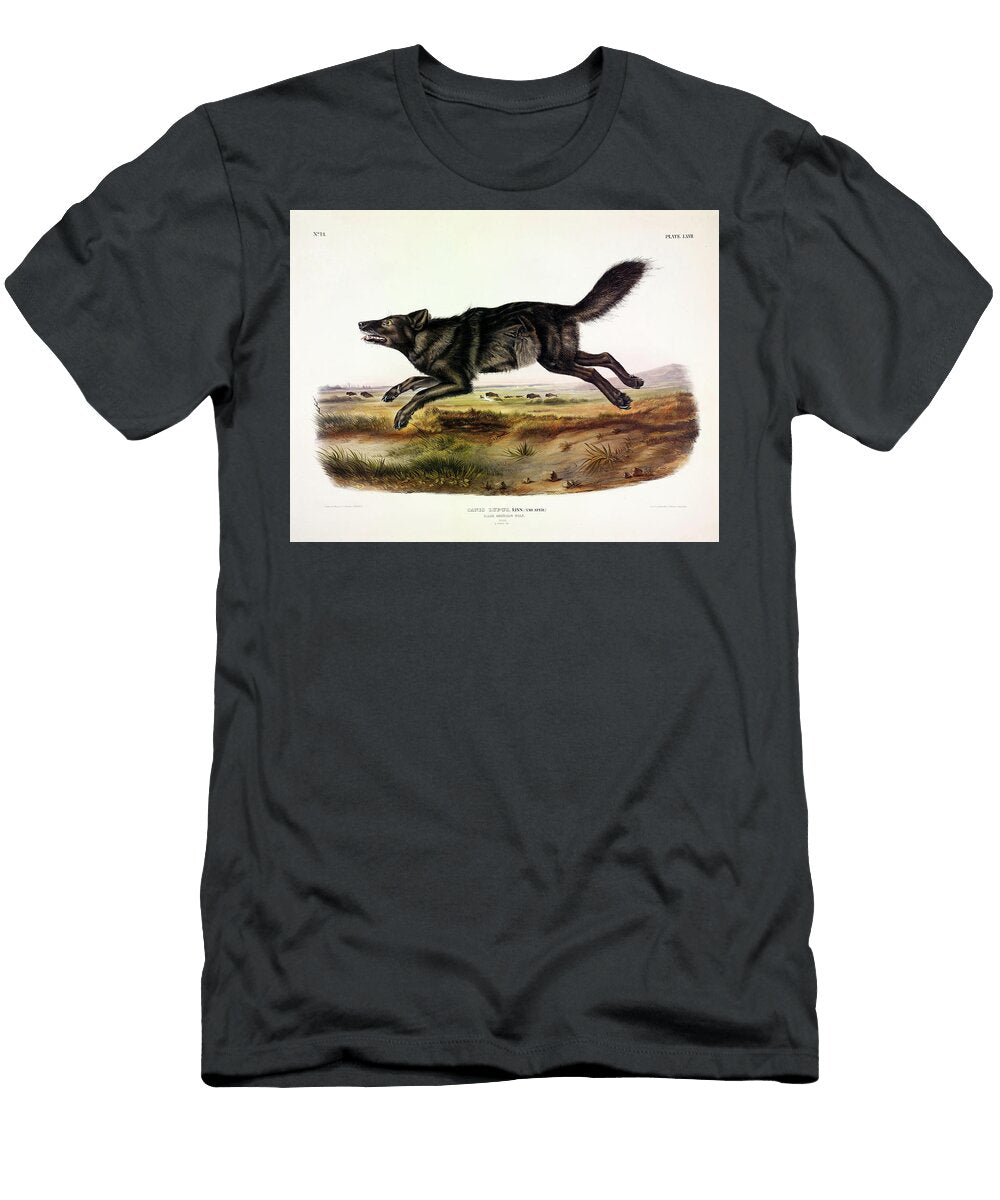 Black American Wolf John James Audubon T-Shirt