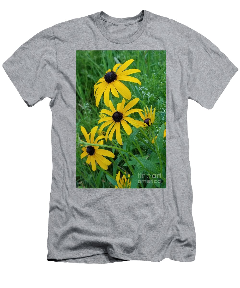Black Eyed Susans 1 Michael Graham T-Shirt