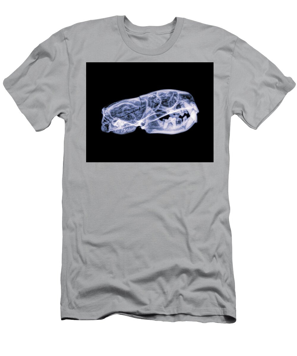 Black Footed Ferret 5 Rob Graham T-Shirt