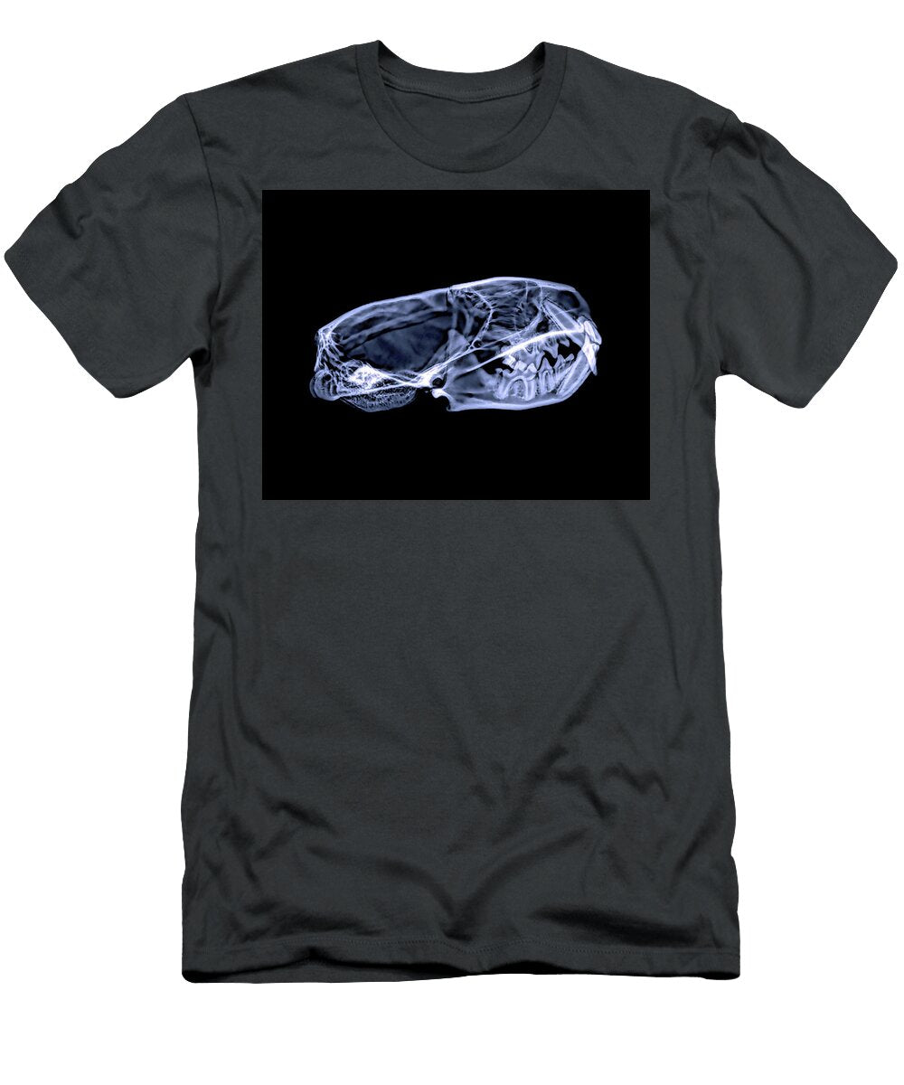 Black Footed Ferret 6 Rob Graham T-Shirt