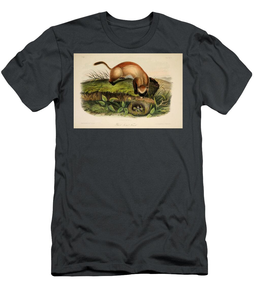 Black Footed Ferret Beautiful Nature Prints T-Shirt