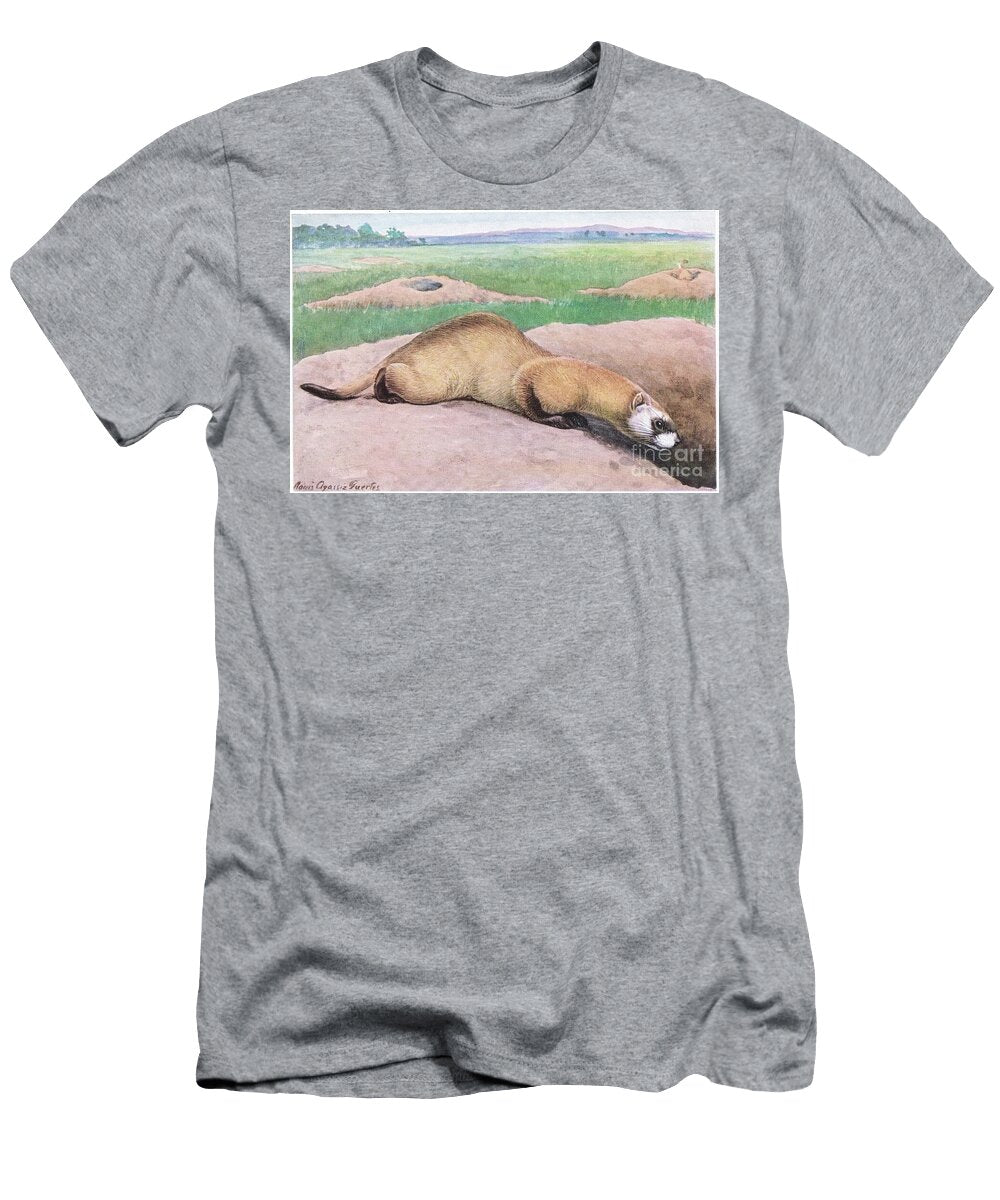 Black Footed Ferret Black Mask Feet and Tail Tip One of Americas Rarest Mammals Louis Agassiz Fuertes T-Shirt