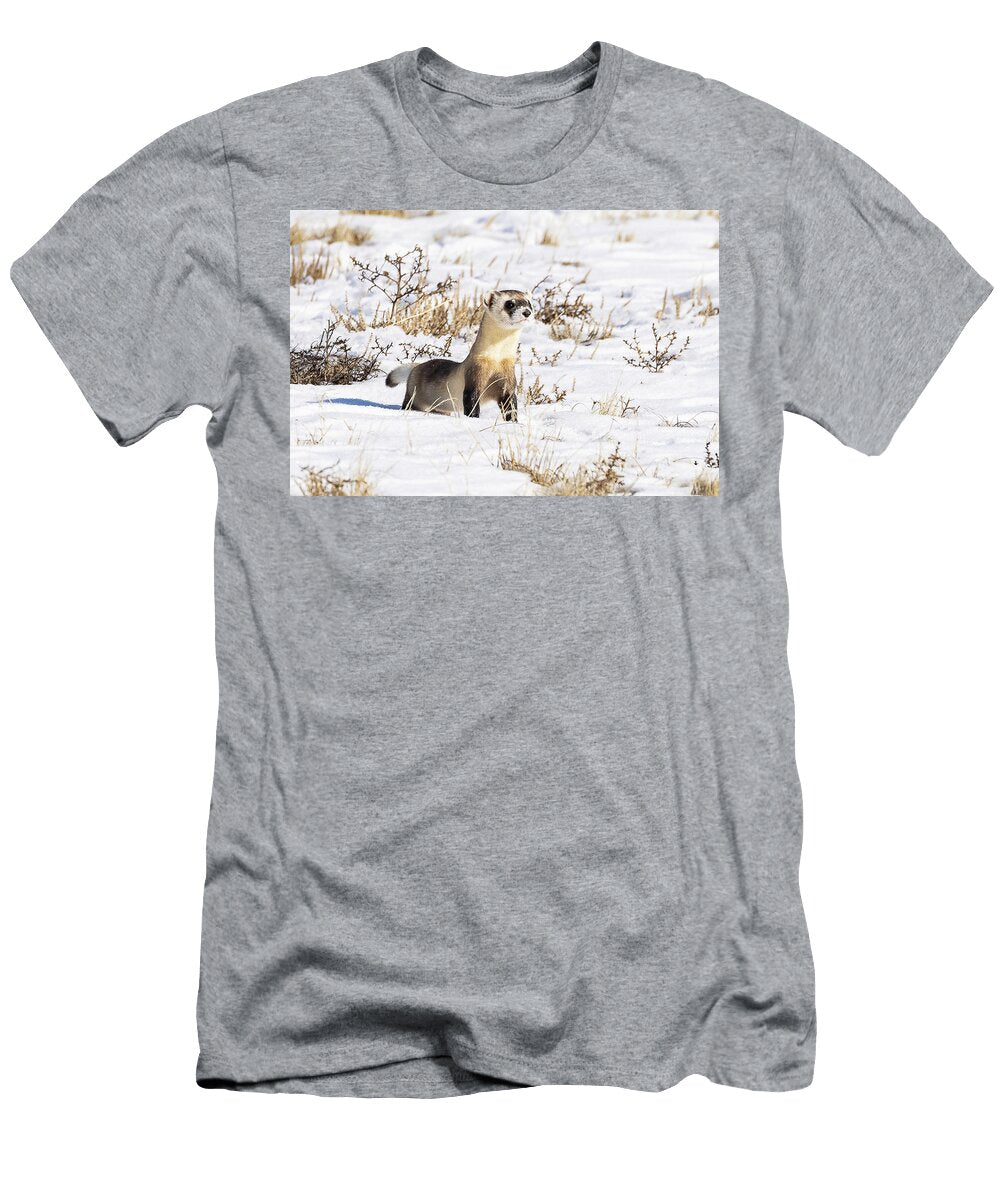 Black Footed Ferret Checking Things Out in the Snow Tony Hake T-Shirt