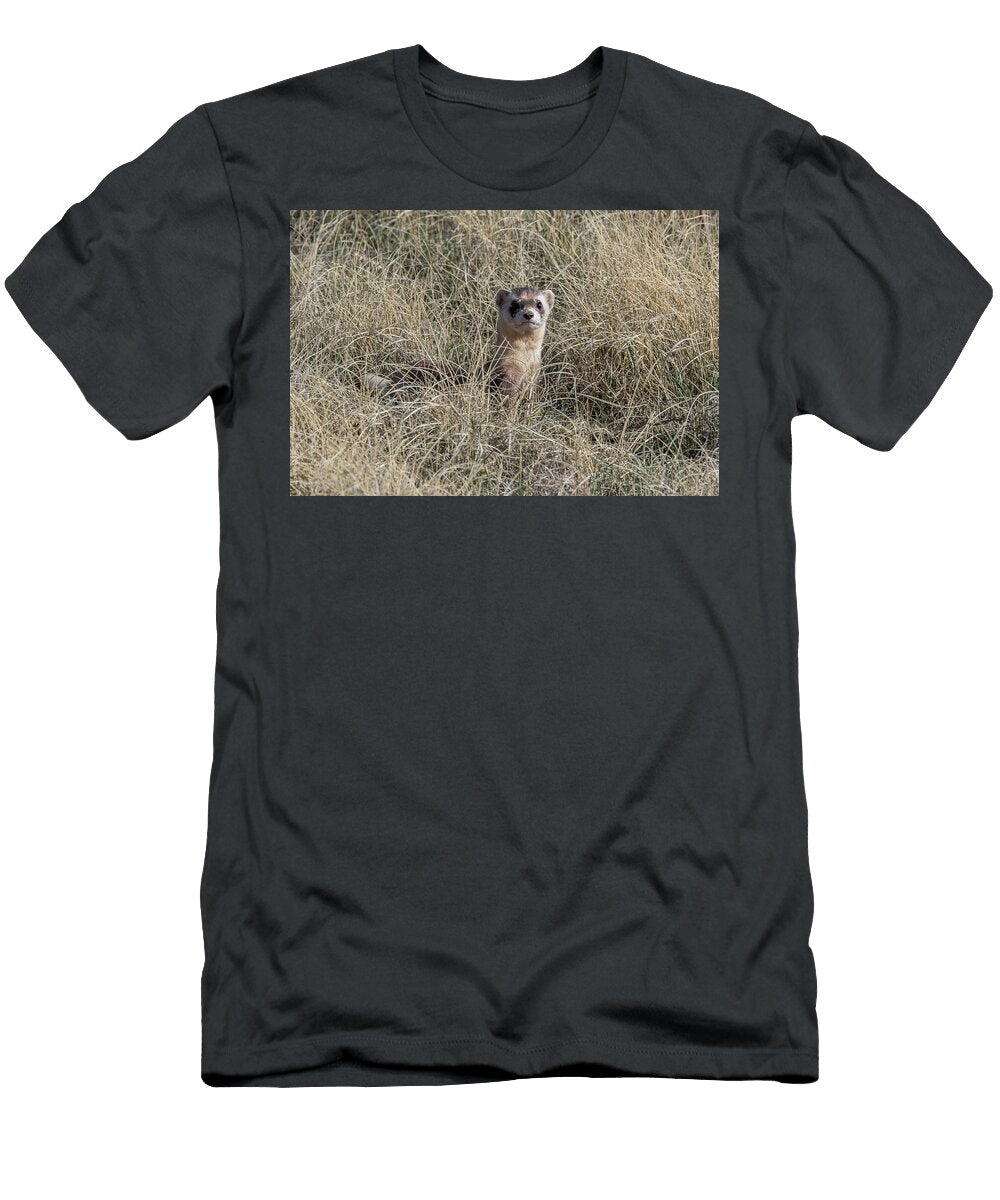 Black Footed Ferret Checks Out Its Surroundings Tony Hake T-Shirt