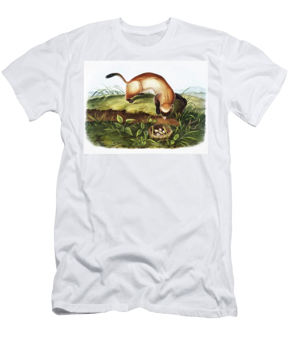 Black Footed Ferret Digital Remastered Edition John Woodhouse Audubon T-Shirt