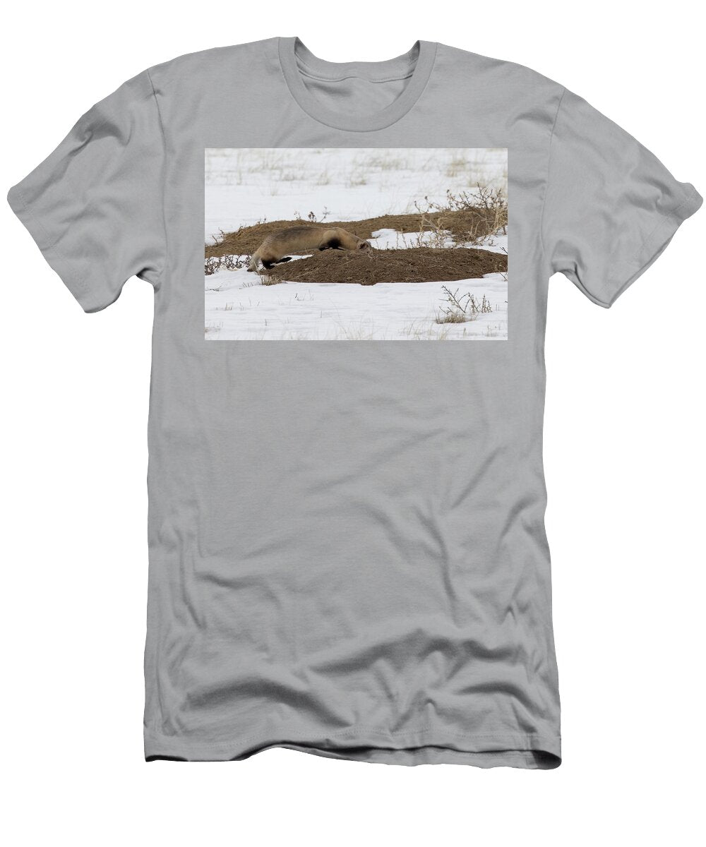 Black Footed Ferret Investigating Prairie Dog Burrow Before Charlie Summers Natureplcom T-Shirt