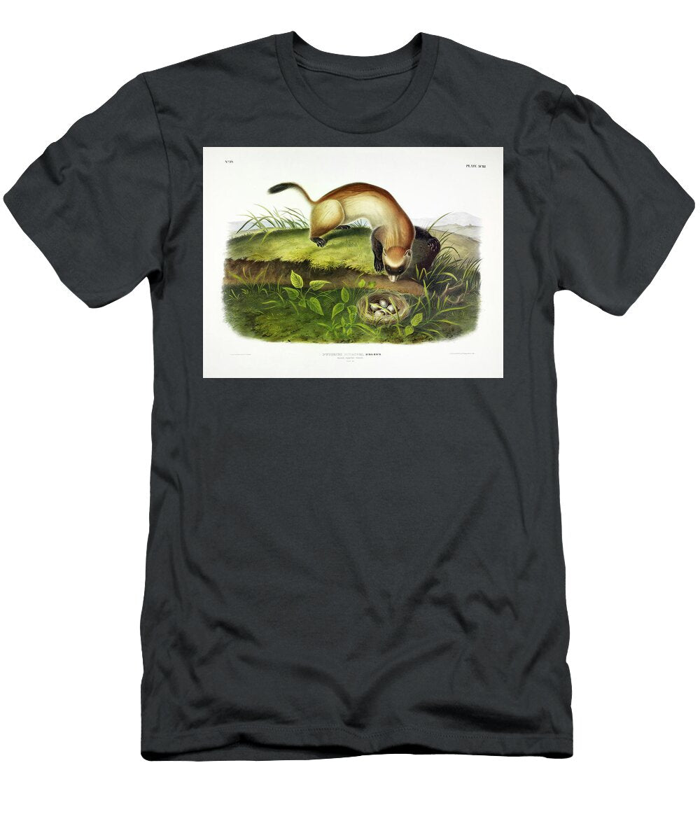 Black Footed Ferret John James Audubon T-Shirt