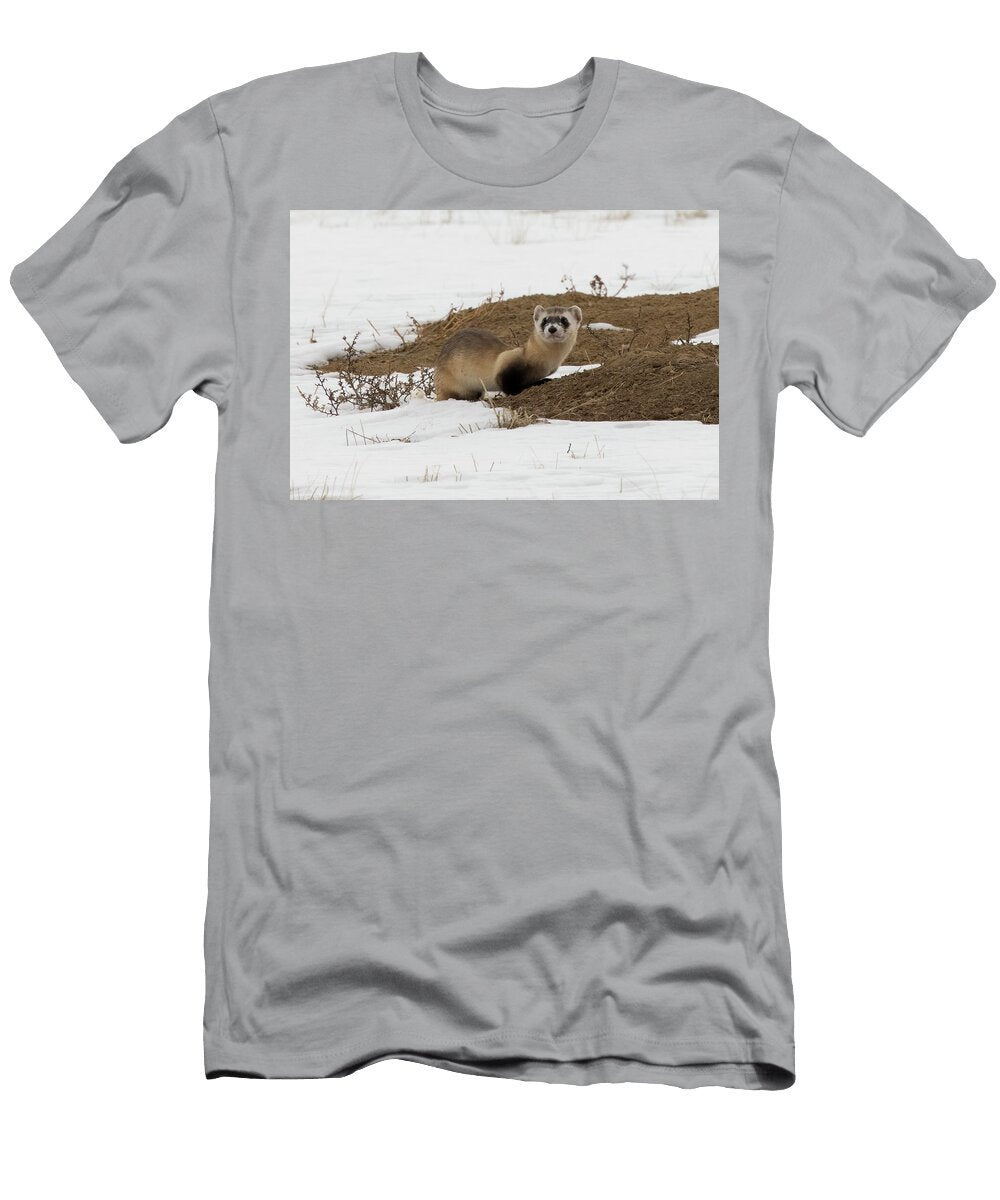 Black Footed Ferret on Black Tailed Prairie Dog Mound in Charlie Summers Natureplcom T-Shirt