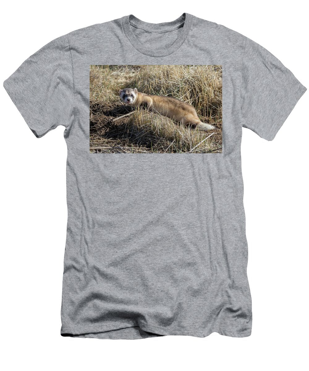 Black Footed Ferret on the Prowl Tony Hake T-Shirt