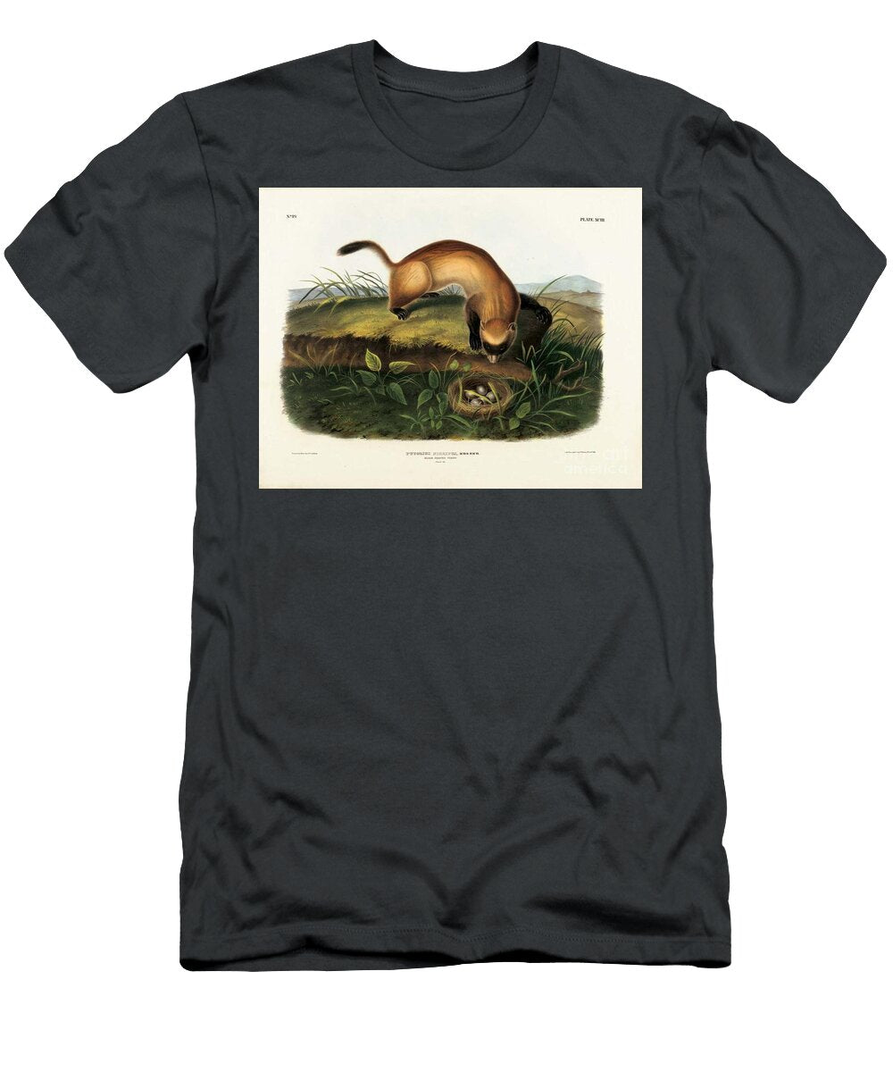 Black Footed Ferret Plate Xciii By John James Audubon 1990s Artistic Rifki T-Shirt