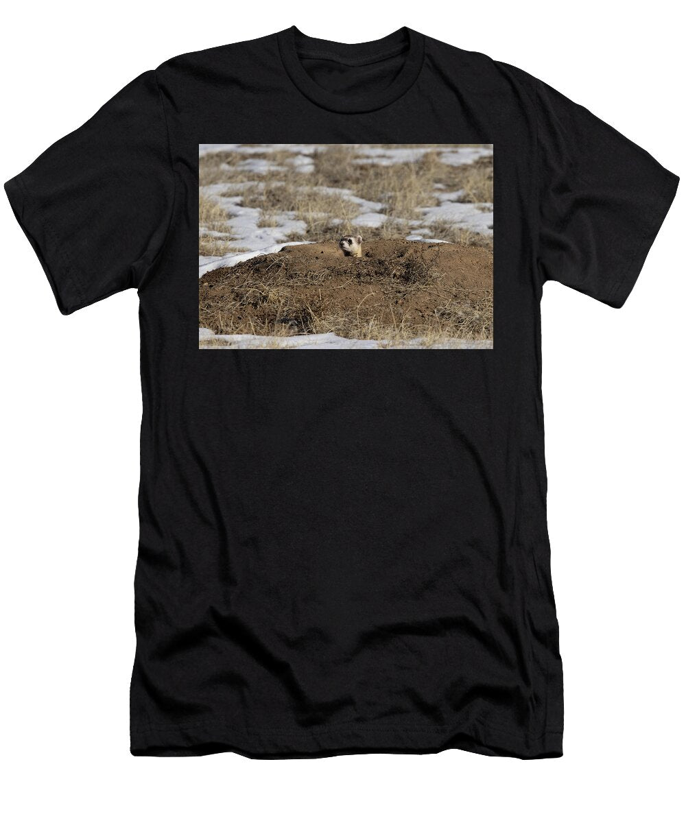 Black Footed Ferret Pokes His Head Out of a Prairie Dog Charlie Summers Natureplcom T-Shirt