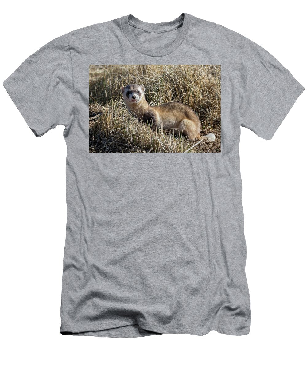 Black Footed Ferret Poses Tony Hake T-Shirt