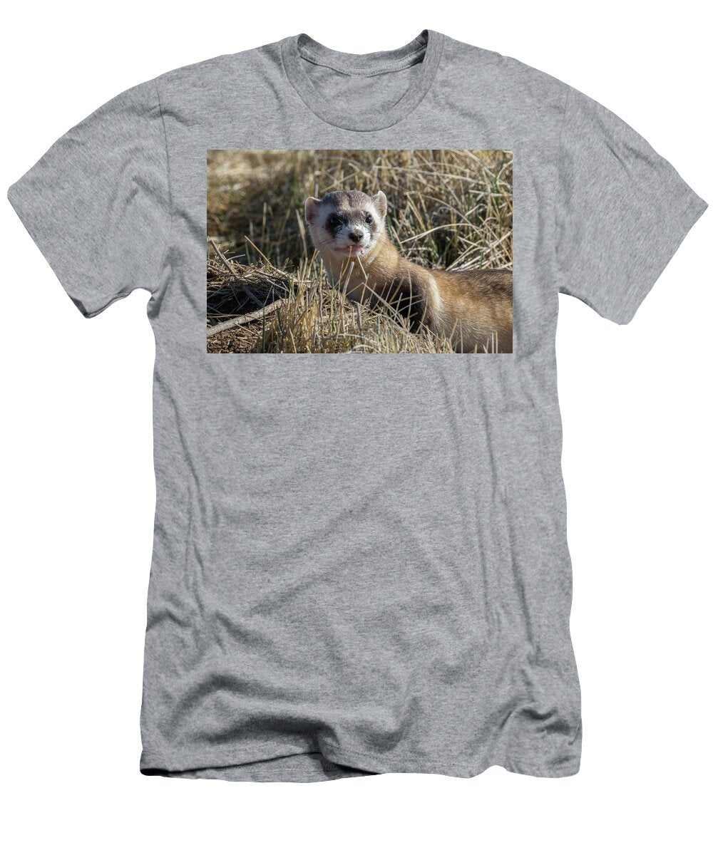 Black Footed Ferret Up Close Tony Hake T-Shirt