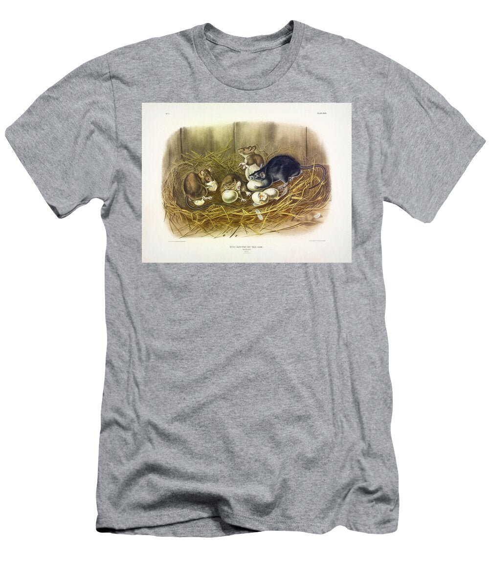 Black Rat John James Audubon T-Shirt