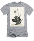 Black Squirrel Sciurus Niger From the Natural History of Carolina Florida and the Bahama Islands Celestial Images T-Shirt
