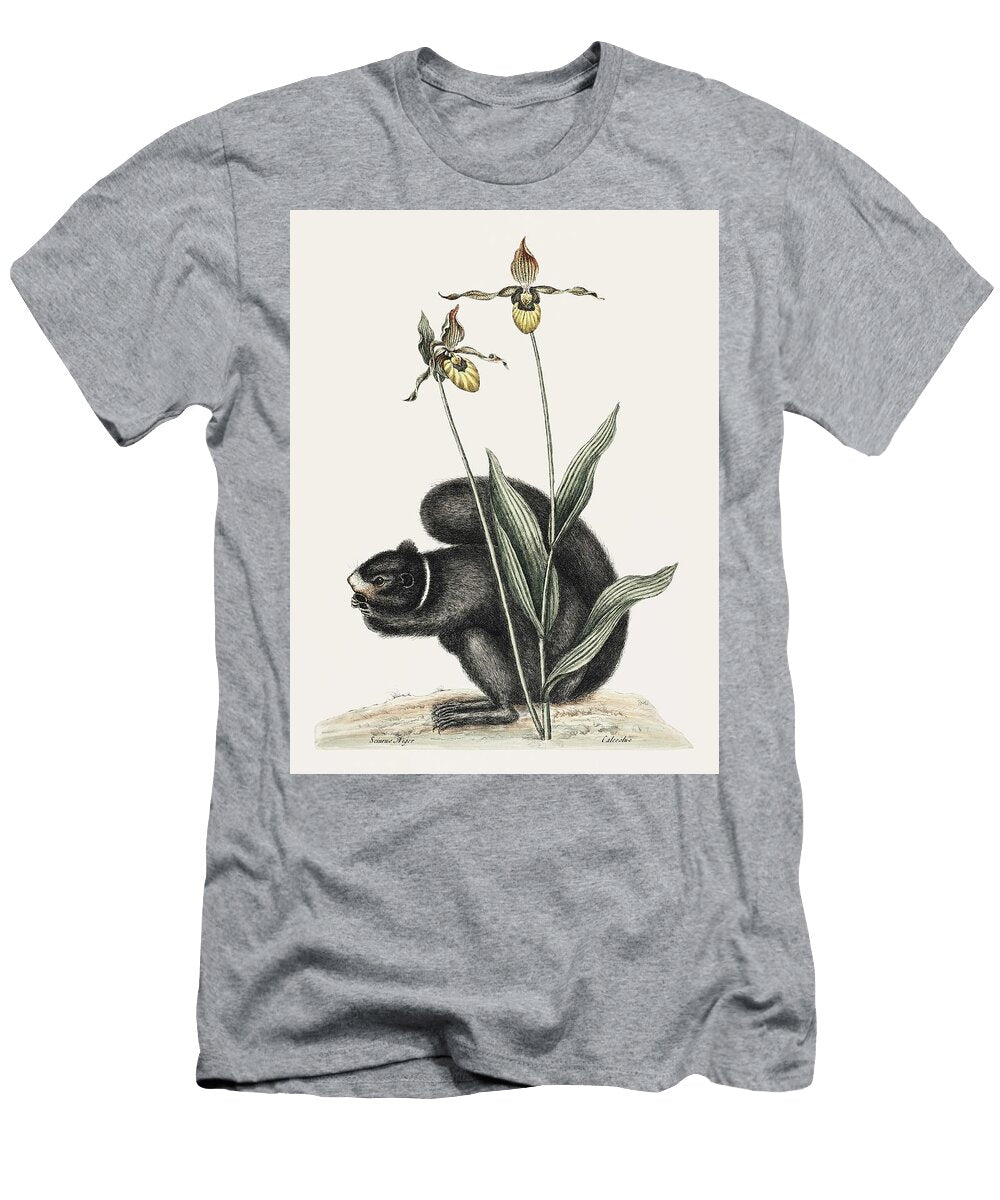 Black Squirrel Sciurus Niger From the Natural History of Carolina Florida and the Bahama Islands Celestial Images T-Shirt