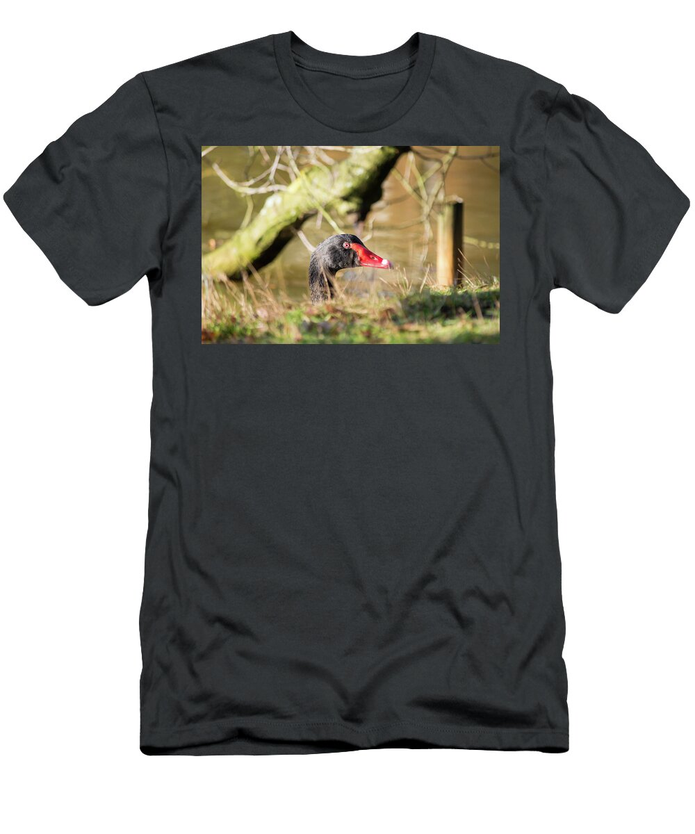 Black Swan Popping Up Head Johan Ferret T-Shirt