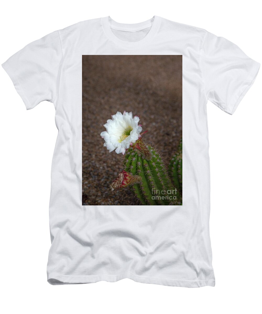 Blooming Hedgehog Cactus Elisabeth Lucas T-Shirt