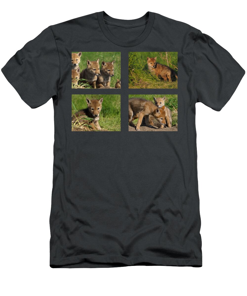 Blue Eyed Beauty James Peterson T-Shirt