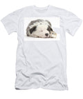 Border Collie Puppy and Roborovski Mark Taylor T-Shirt