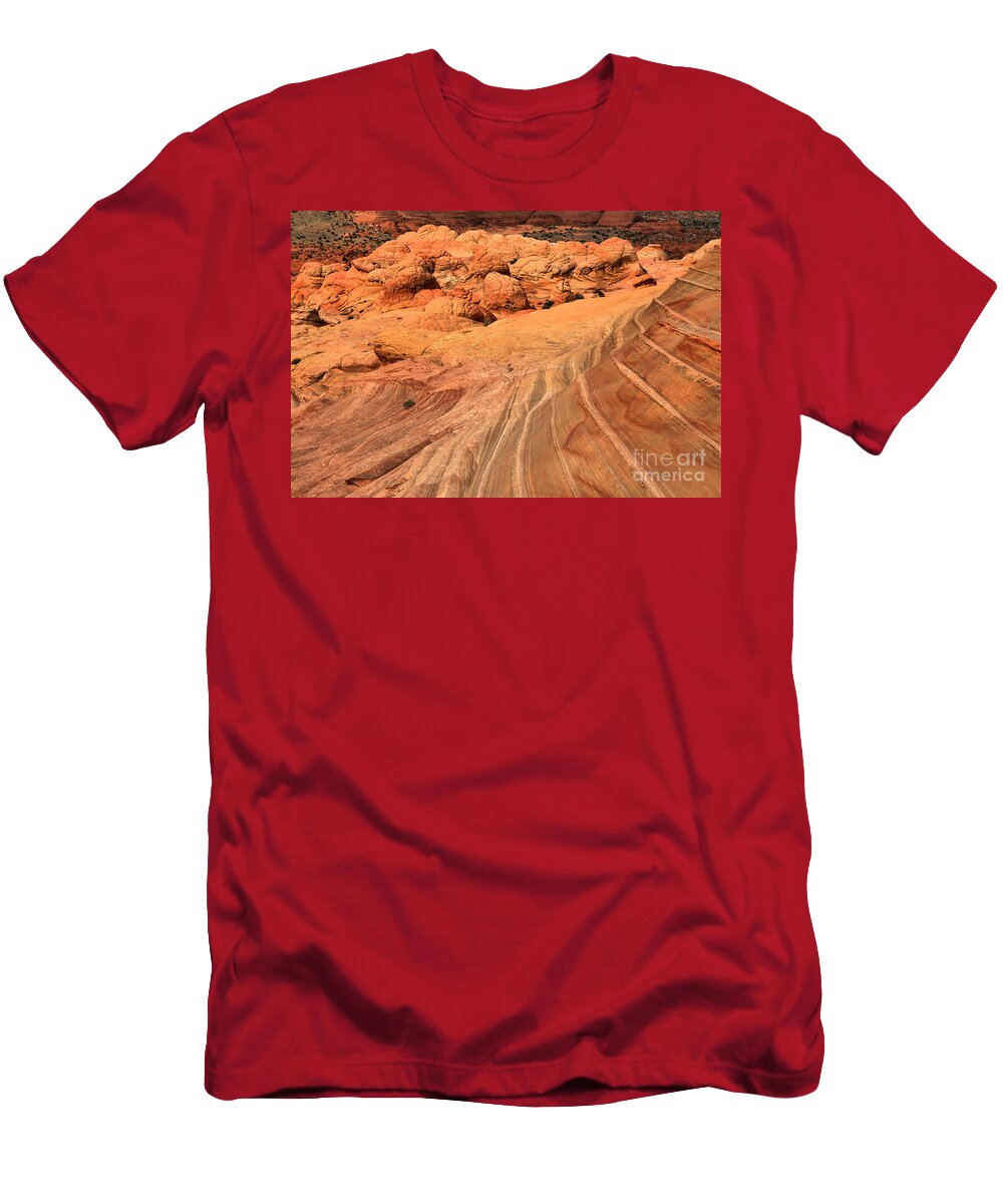 Brain Rocks and Swirls Adam Jewell T-Shirt