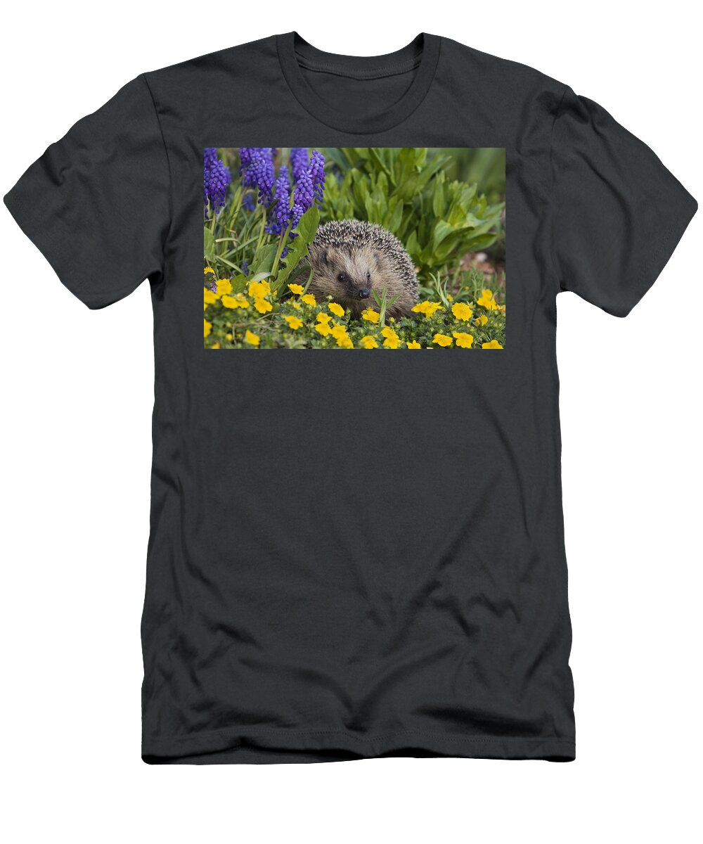 Brown Breasted Hedgehog Erinaceus Konrad Wothe T-Shirt