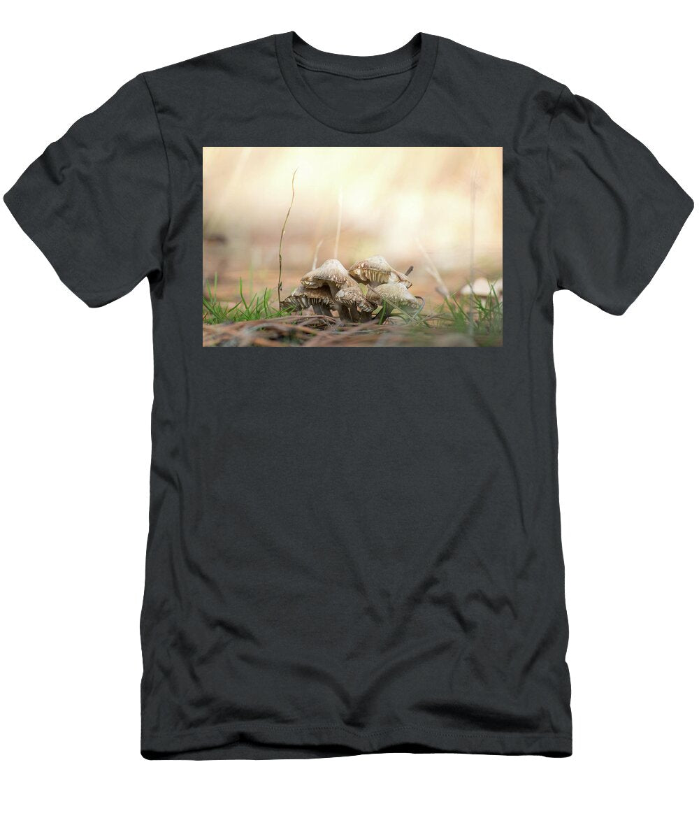 Brown Mushrooms on Ground Stephens Coyote Ridge Regional Park Kelowna Canada Julien T-Shirt