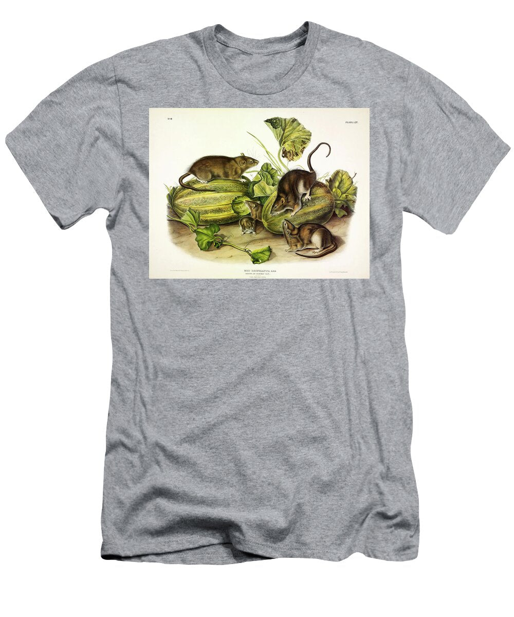 Brown or Norway Rat John James Audubon T-Shirt
