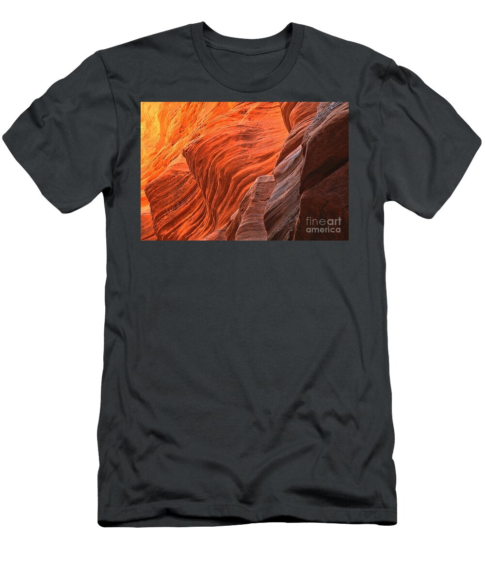 Buckskin Walls of Fire Adam Jewell T-Shirt