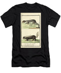 Buffons Antique Illustration Showing a Striped Polecat and Skunk Au2 Historic Illustrations T-Shirt
